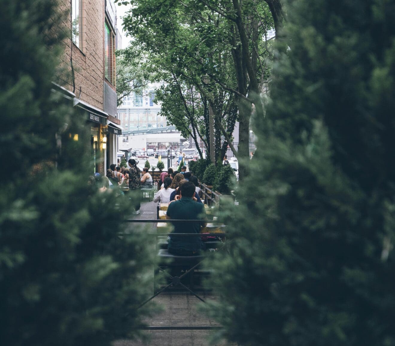 West Toronto: A Downsizer's Haven